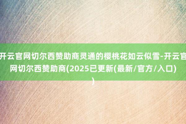 开云官网切尔西赞助商灵通的樱桃花如云似雪-开云官网切尔西赞助商(2025已更新(最新/官方/入口)