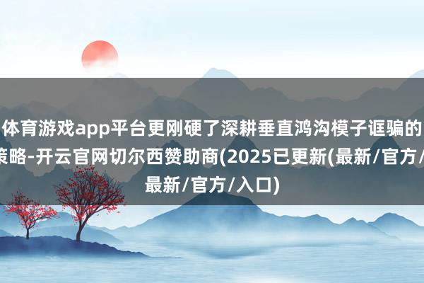 体育游戏app平台更刚硬了深耕垂直鸿沟模子诓骗的发展策略-开云官网切尔西赞助商(2025已更新(最新/官方/入口)