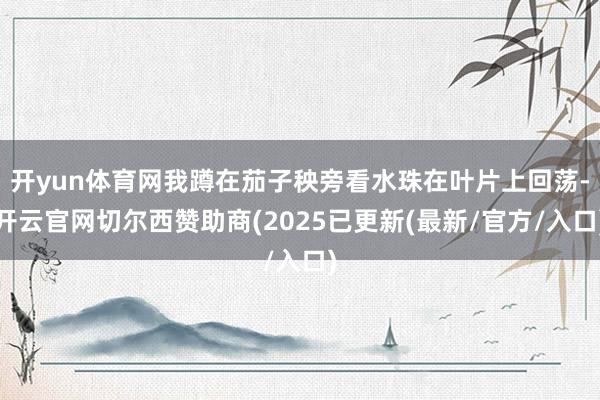 开yun体育网我蹲在茄子秧旁看水珠在叶片上回荡-开云官网切尔西赞助商(2025已更新(最新/官方/入口)