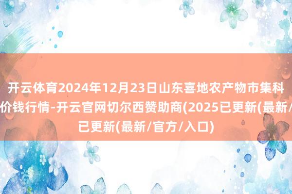 开云体育2024年12月23日山东喜地农产物市集科罚有限公司价钱行情-开云官网切尔西赞助商(2025已更新(最新/官方/入口)