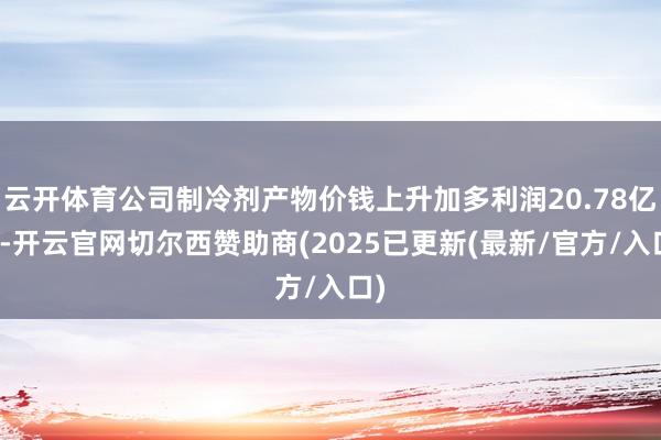 云开体育公司制冷剂产物价钱上升加多利润20.78亿元-开云官网切尔西赞助商(2025已更新(最新/官方/入口)