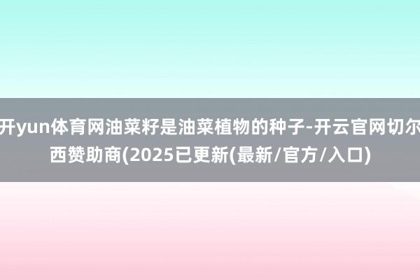开yun体育网油菜籽是油菜植物的种子-开云官网切尔西赞助商(2025已更新(最新/官方/入口)