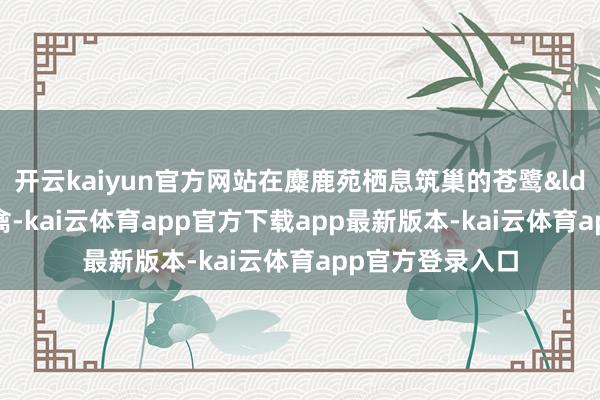 开云kaiyun官方网站在麋鹿苑栖息筑巢的苍鹭&ldquo;苍鹭是涉禽-kai云体育app官方下载app最新版本-kai云体育app官方登录入口